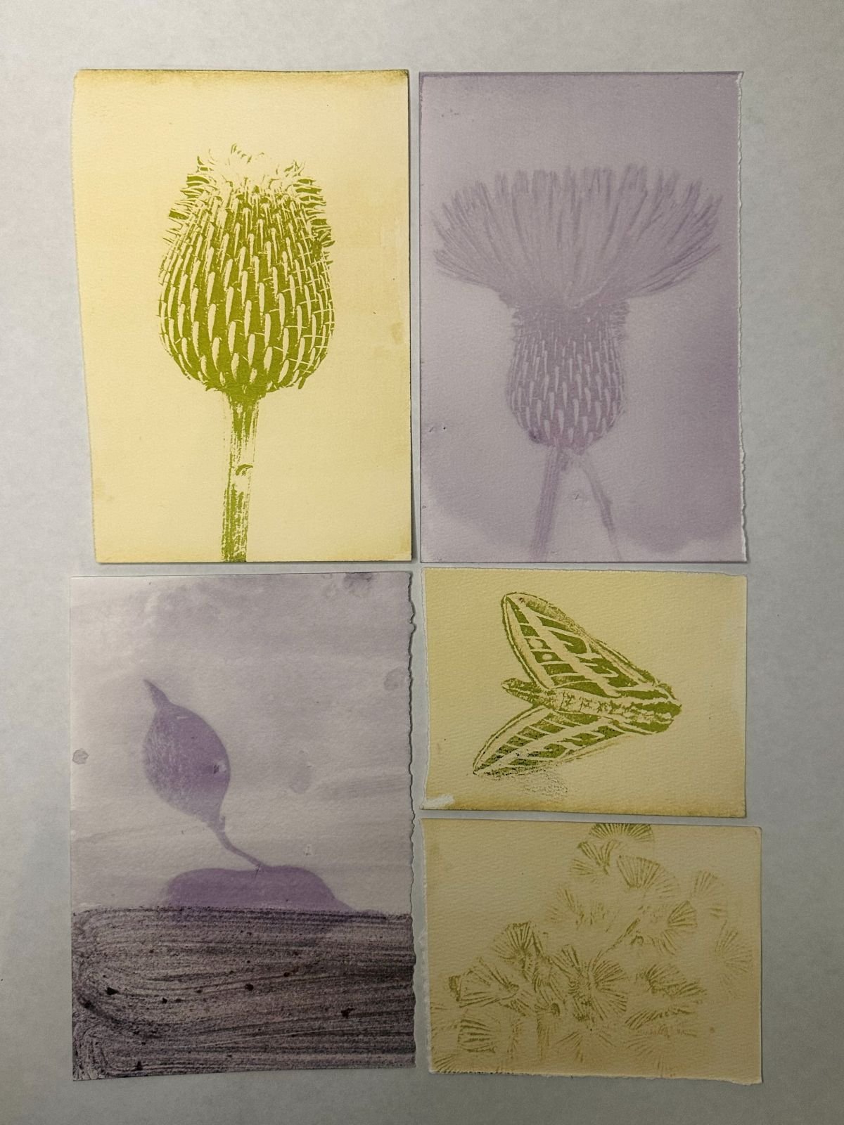 Anthotype