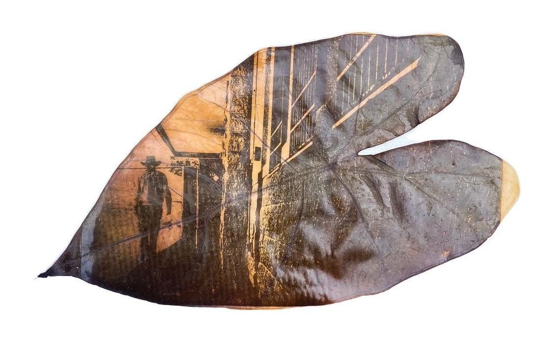 Chlorophyll Print