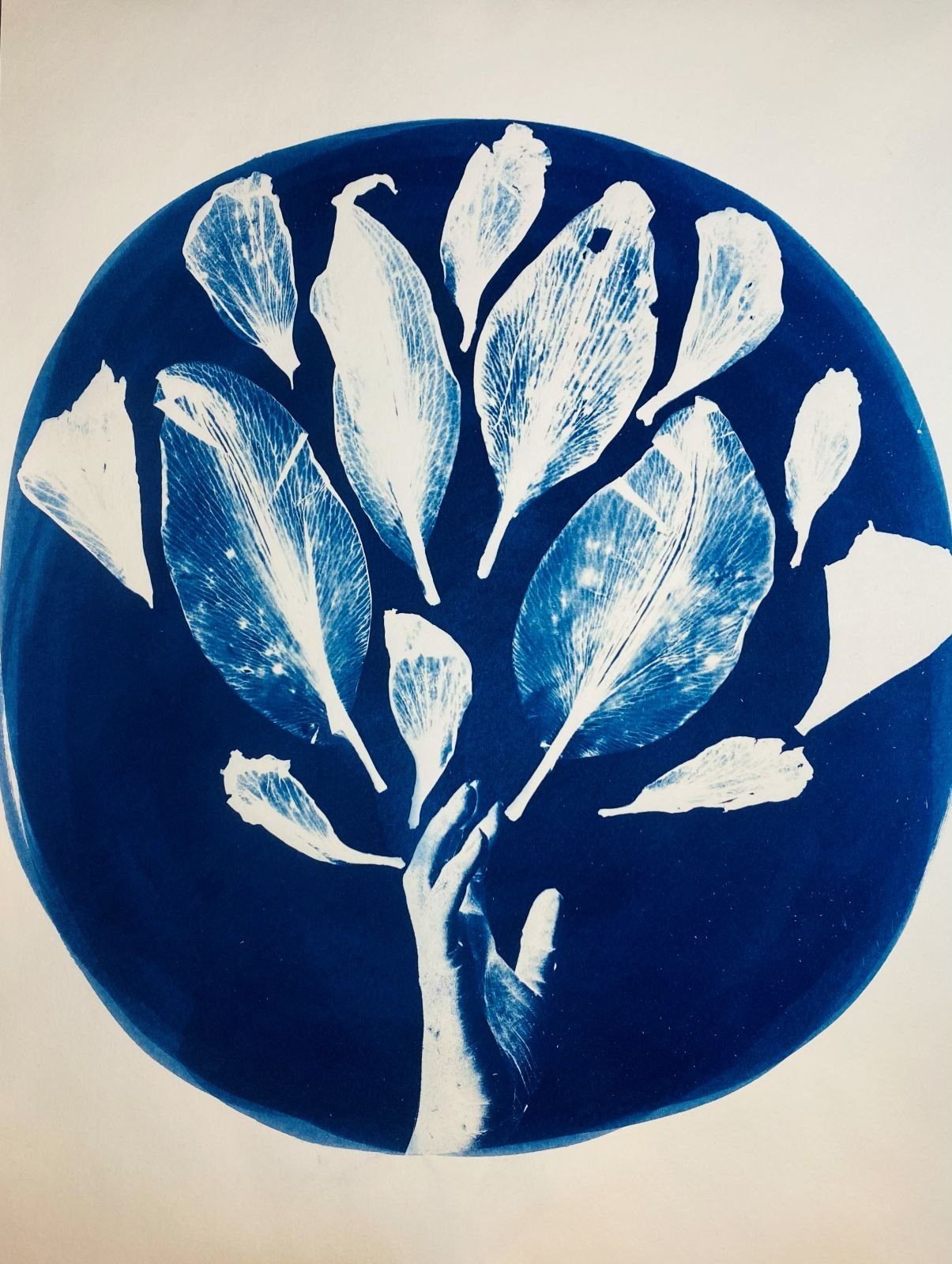 Cyanotype
