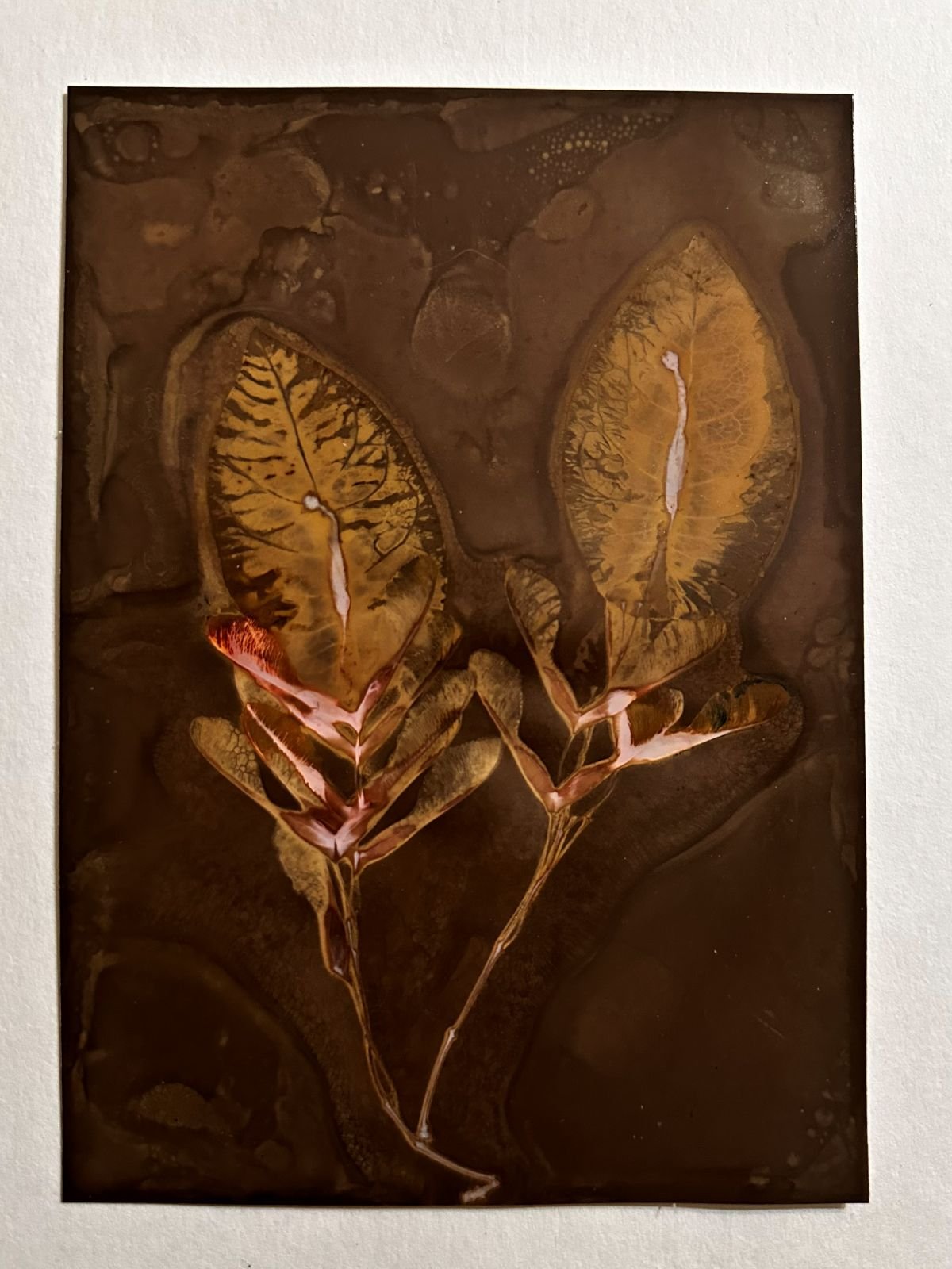 Lumen Print