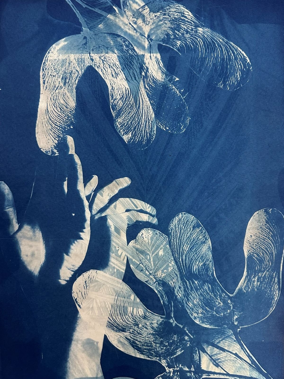 Small Wet Cyanotype II