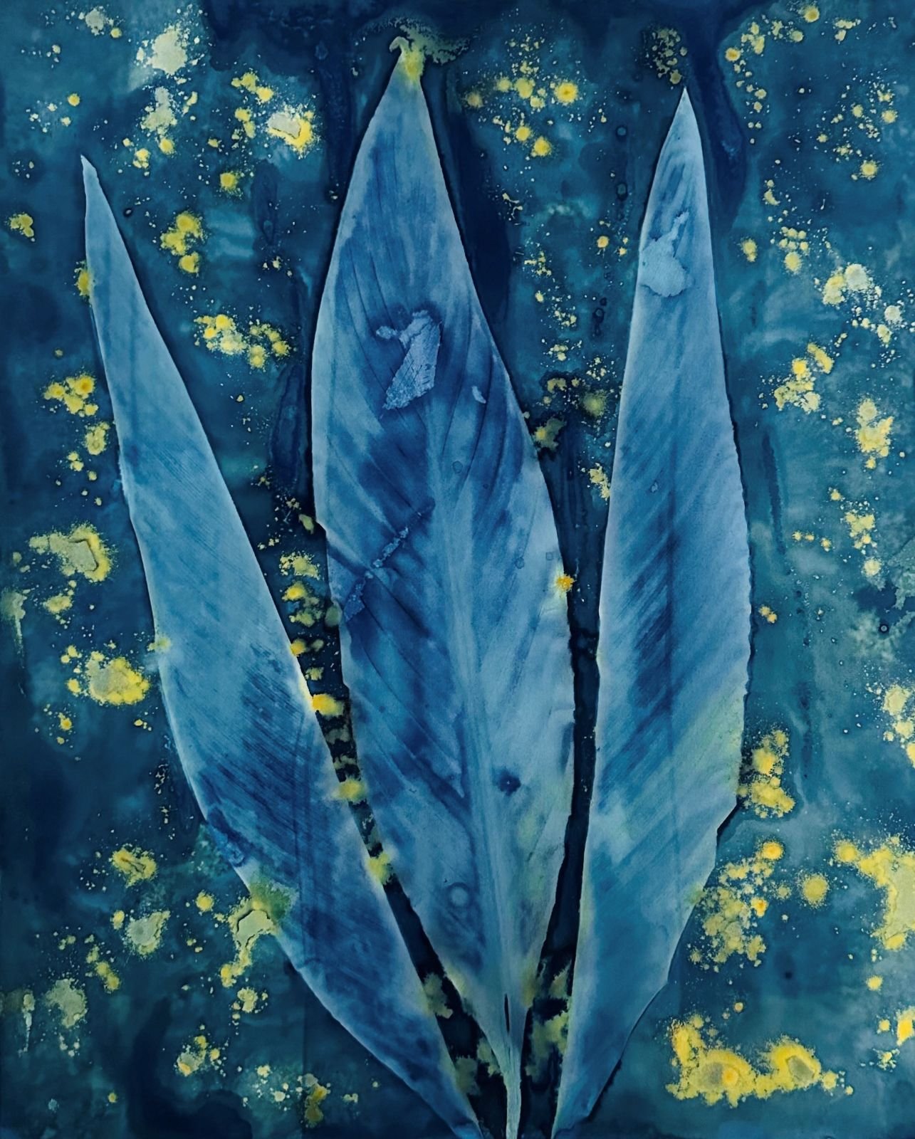 Leaves in Gold Light