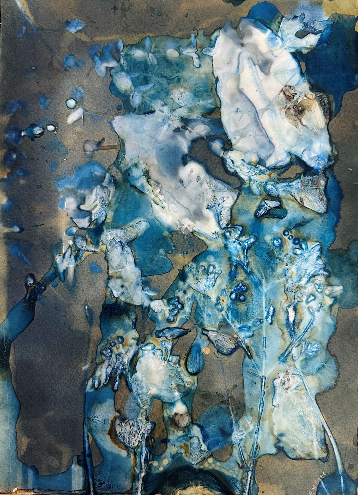 Small Wet Cyanotype I