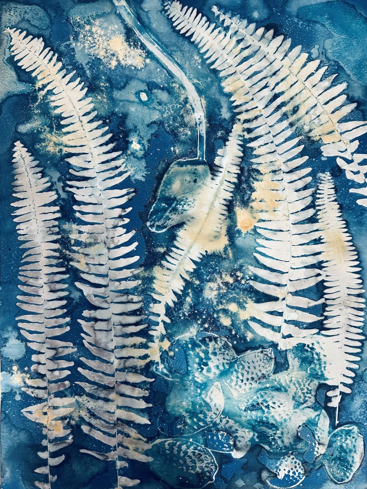 Ferns, Wet Process