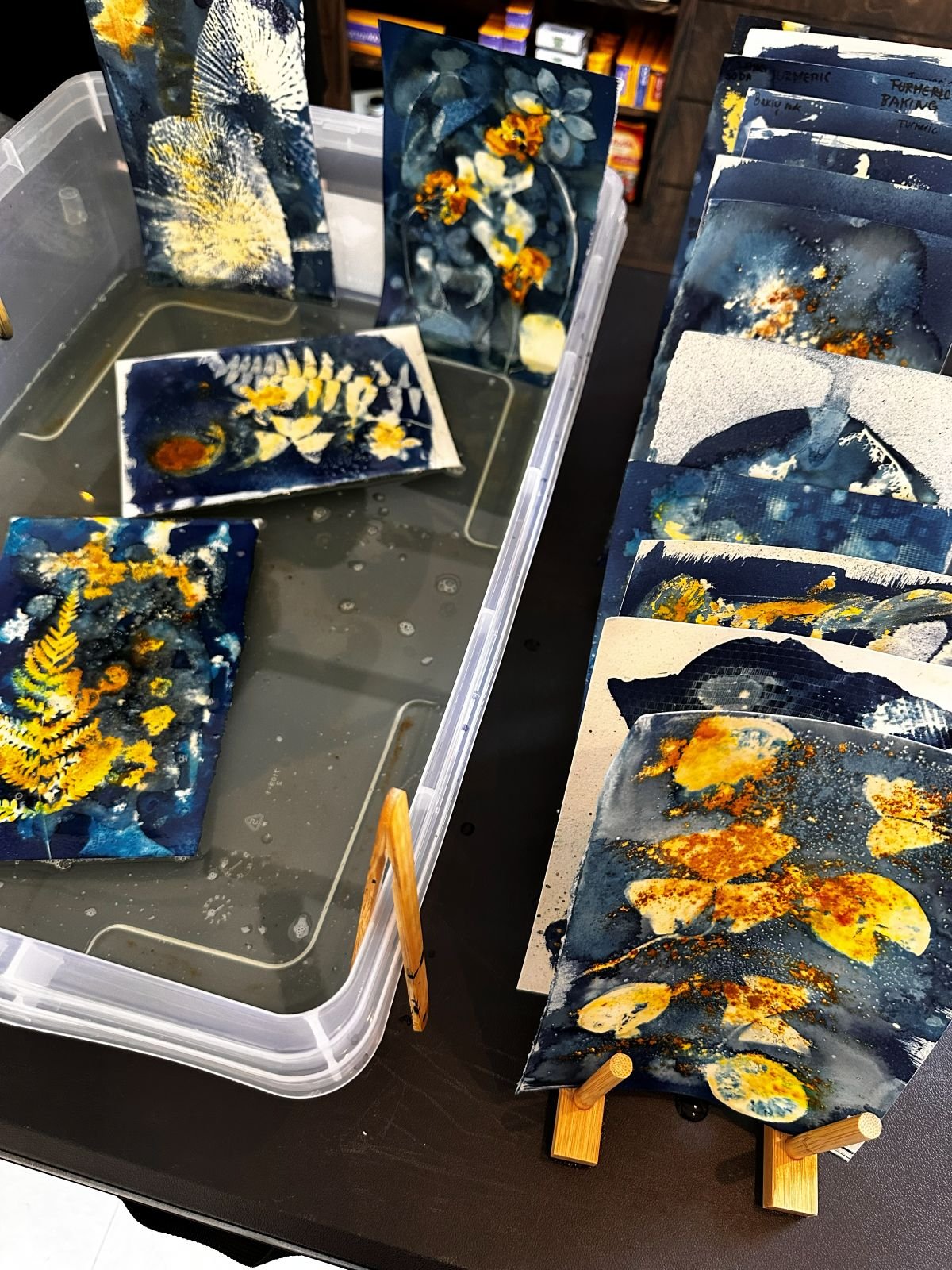 Wet Cyanotype Workshop